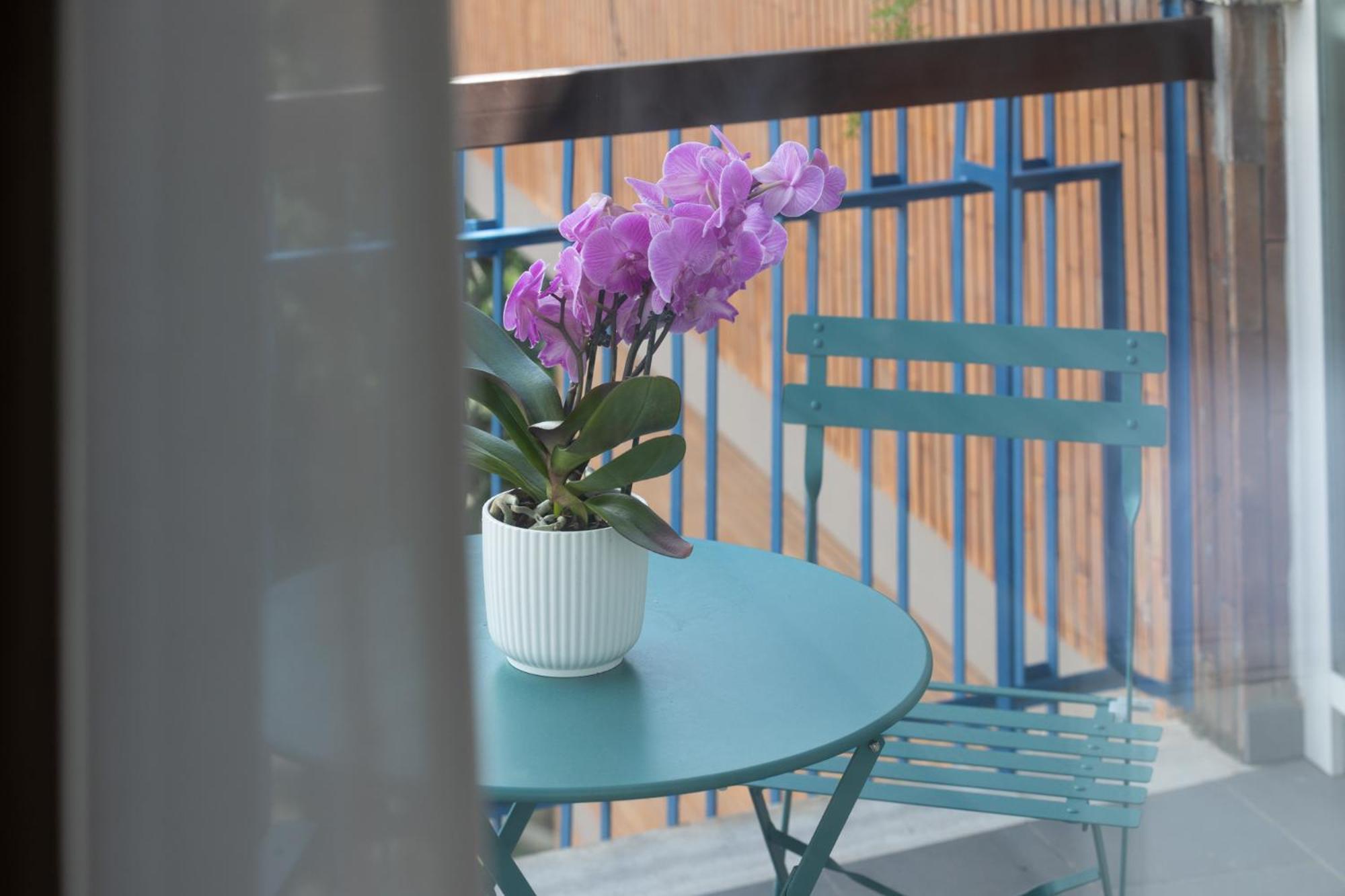 Gæstehus Zaccardi Roof Garden